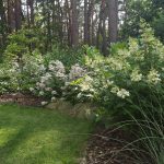 Ogród w Magdalence III