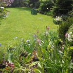 Pielęgnacja ogrodów