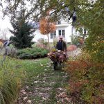 pielęgnacja ogrodów Pruszków