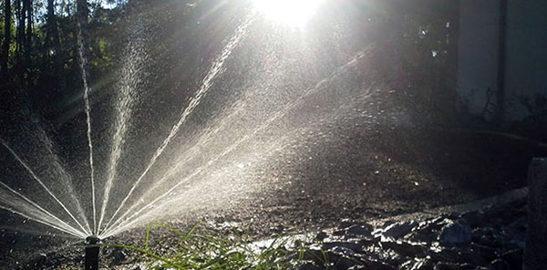 nawadnianie ogrodów Warszawa